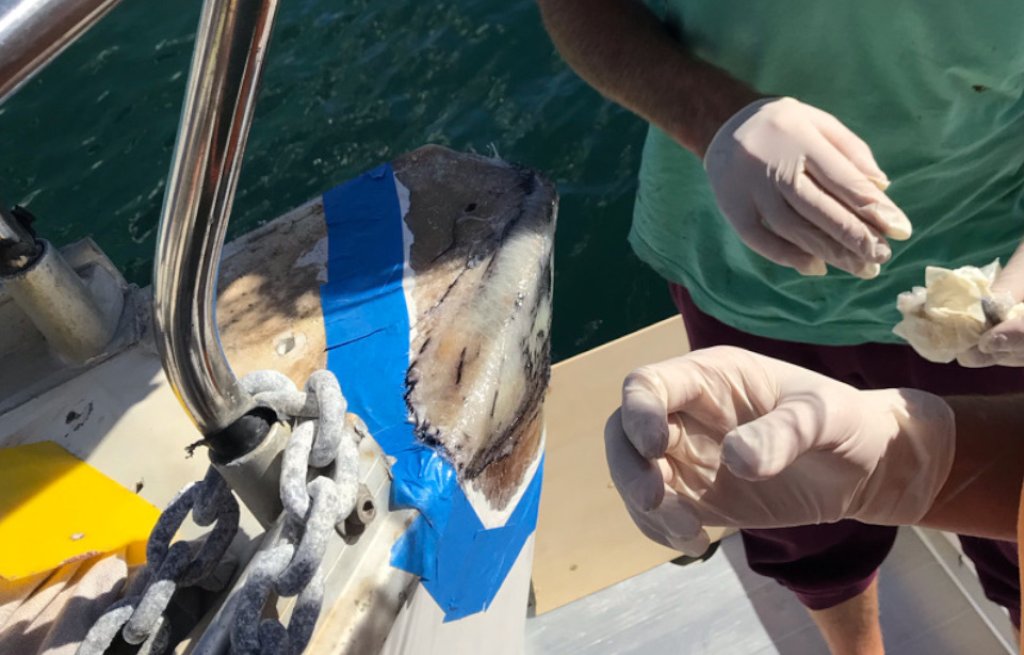 Anbringen der neuen Glasfasern mit Epoxy.