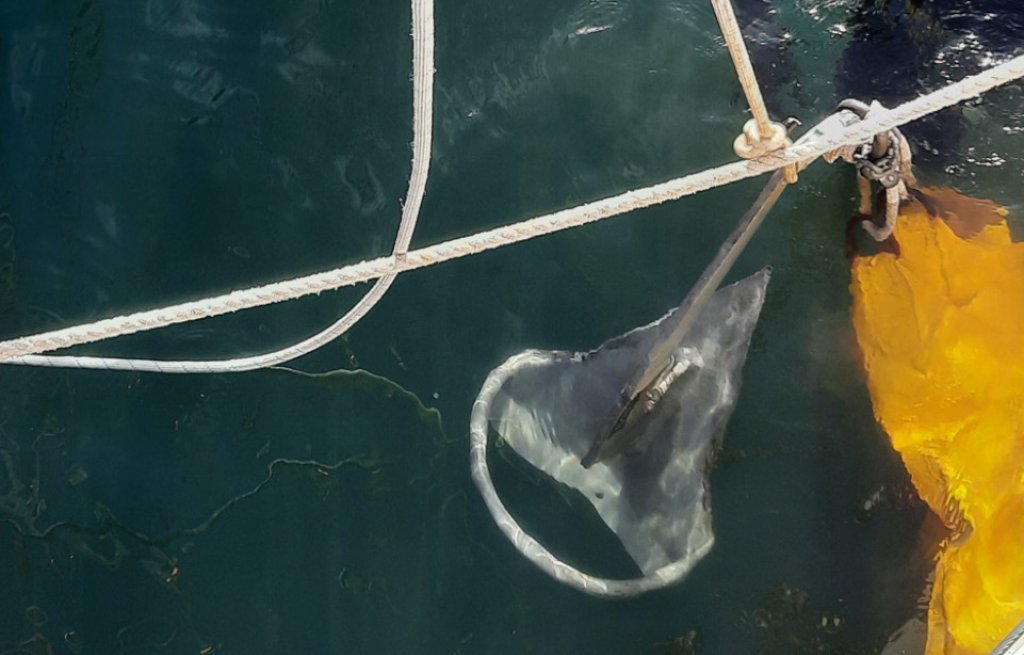 Bergen des Ankers mit einer Art Ballon und viel Kraft.