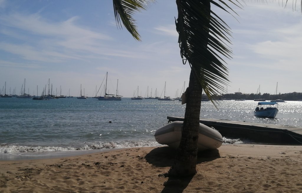 Aussicht auf die Prickly Bay.