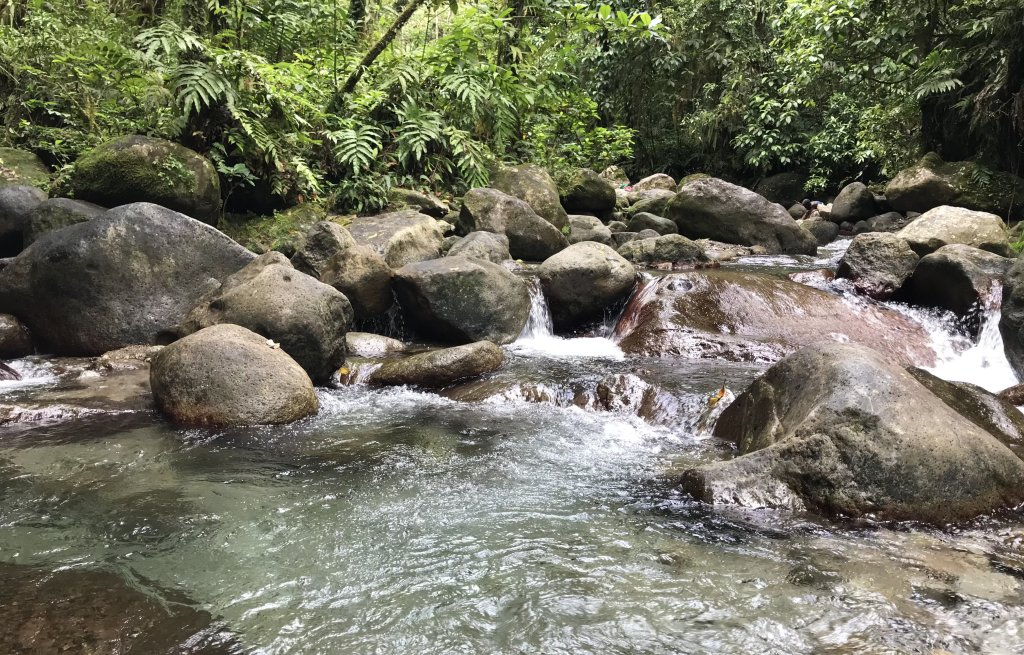 Schönes ruhiges Flussbett nicht weit von der Strasse.