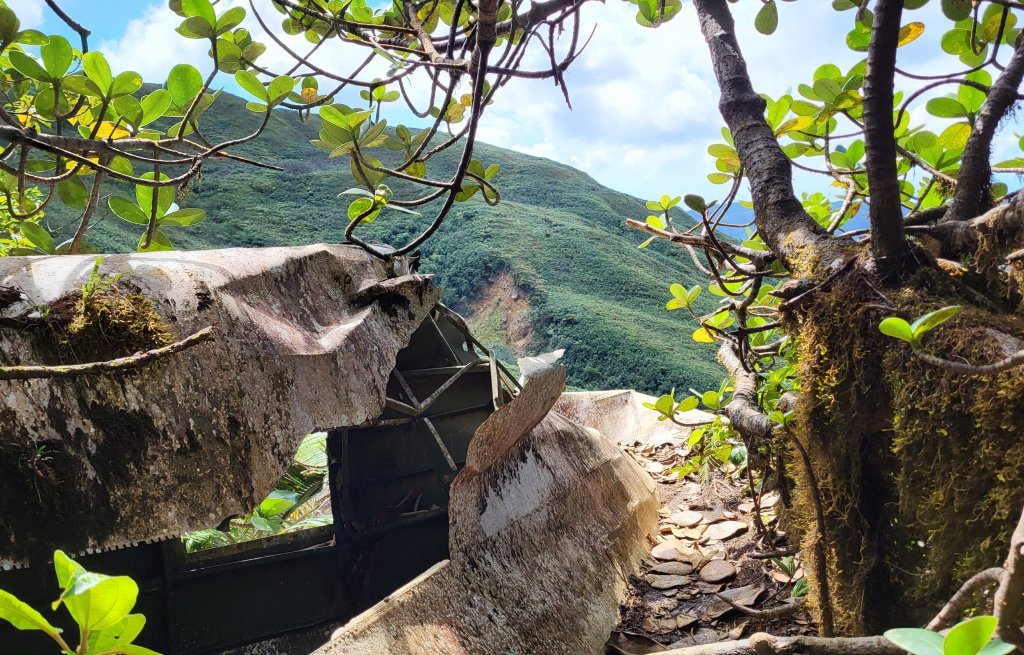 Mitten in den Bäumen liegt es.