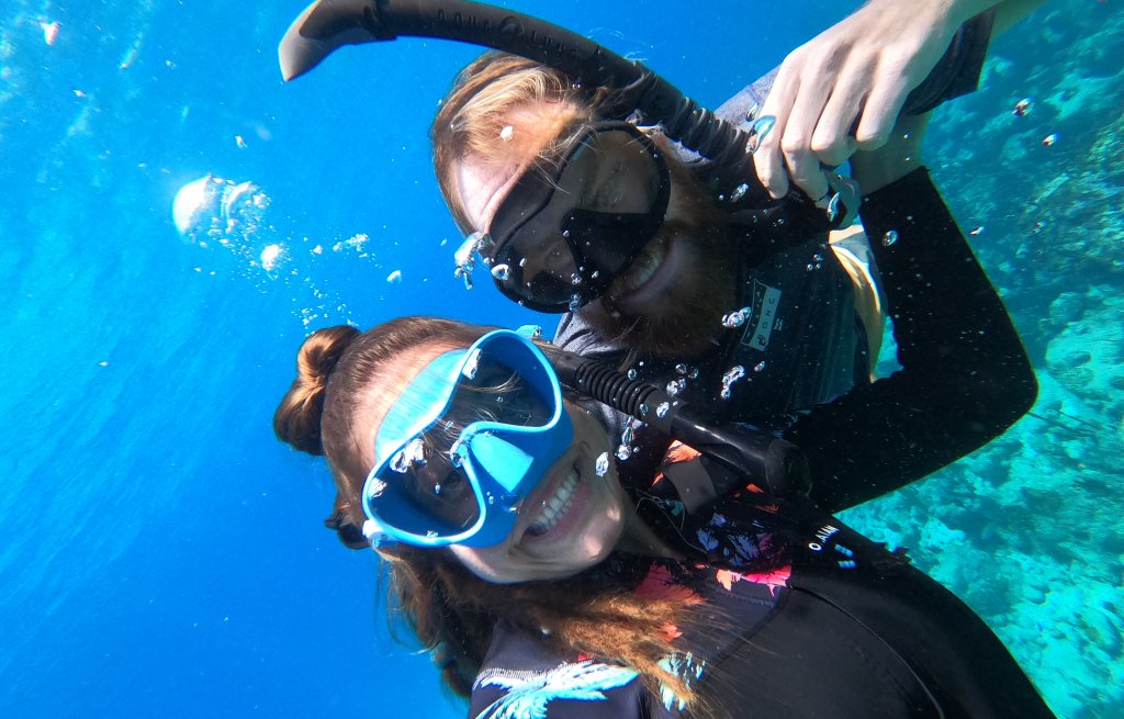 Zwei komische Fische.