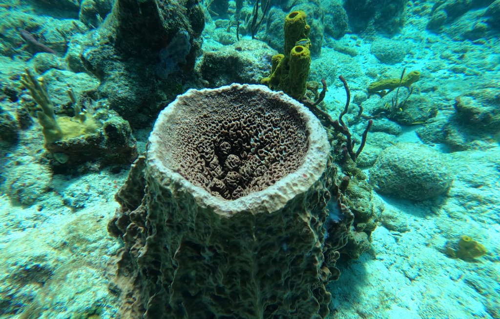 Bin fasziniert von diesen Formen.