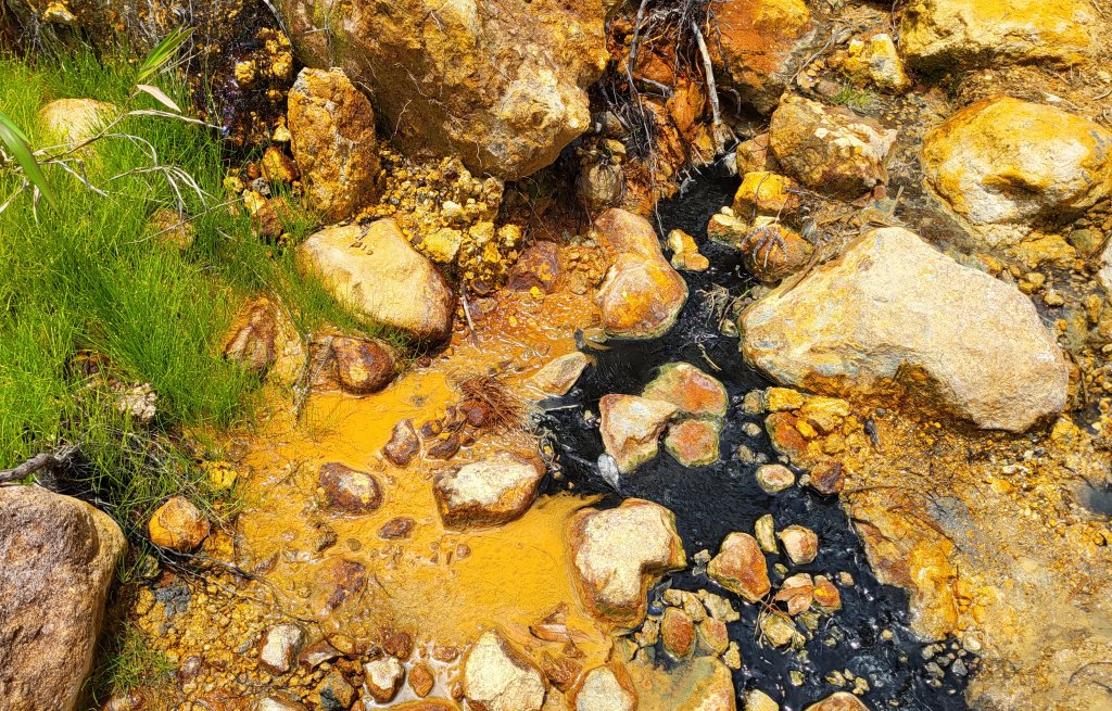 Die verschiedenen Farben sind surreal.