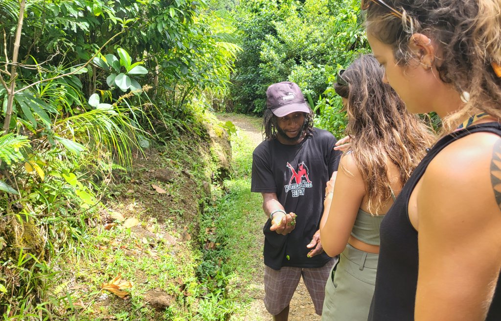 Filipo zeigt uns wieder tausend Kräuter.