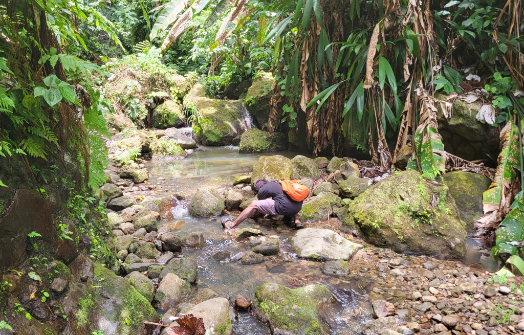 Filipo in Action - was fängt er diesmal?