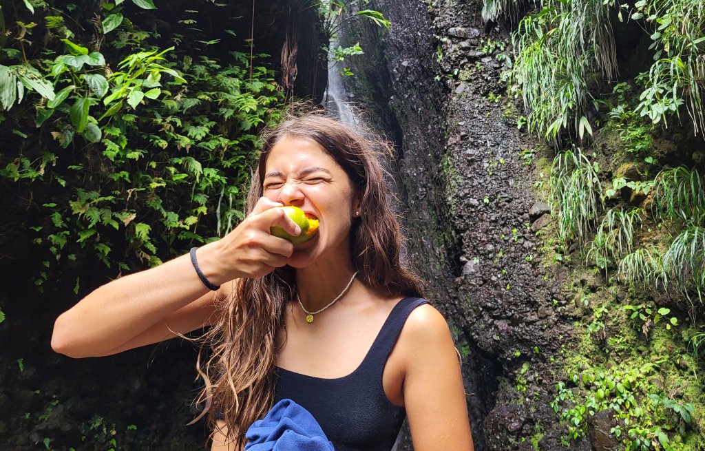 Herrlich süsse Mangos essen.