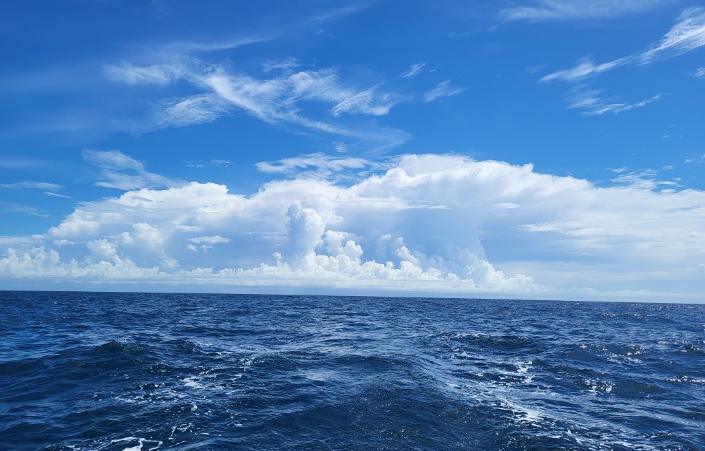 Wolkenformationen wie aus dem Meteorologie Lehrbuch: Cumulonimbus mit Amboss.