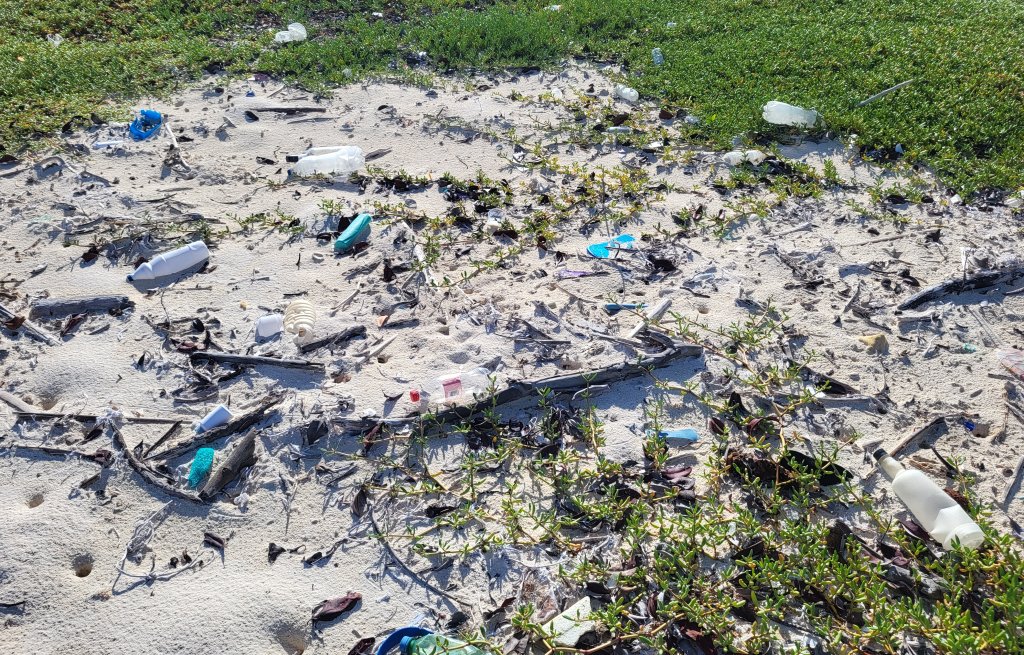 Plastikmüll überall. Beschämend.