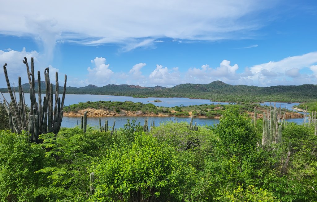 Das Inland ist grün und hügelig.