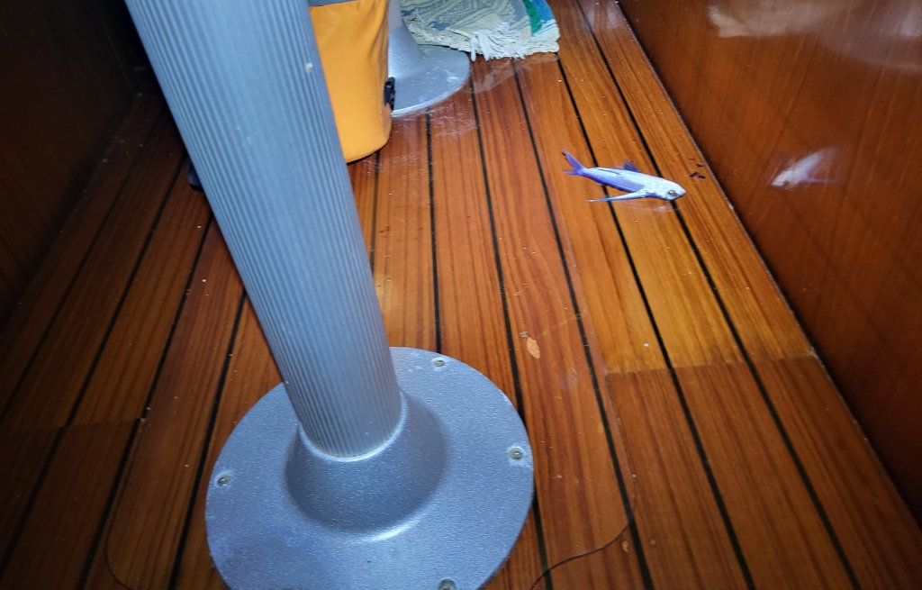 Ein fliegender Fisch schafft es durch den Niedergang und stinkt unter dem Salontisch.