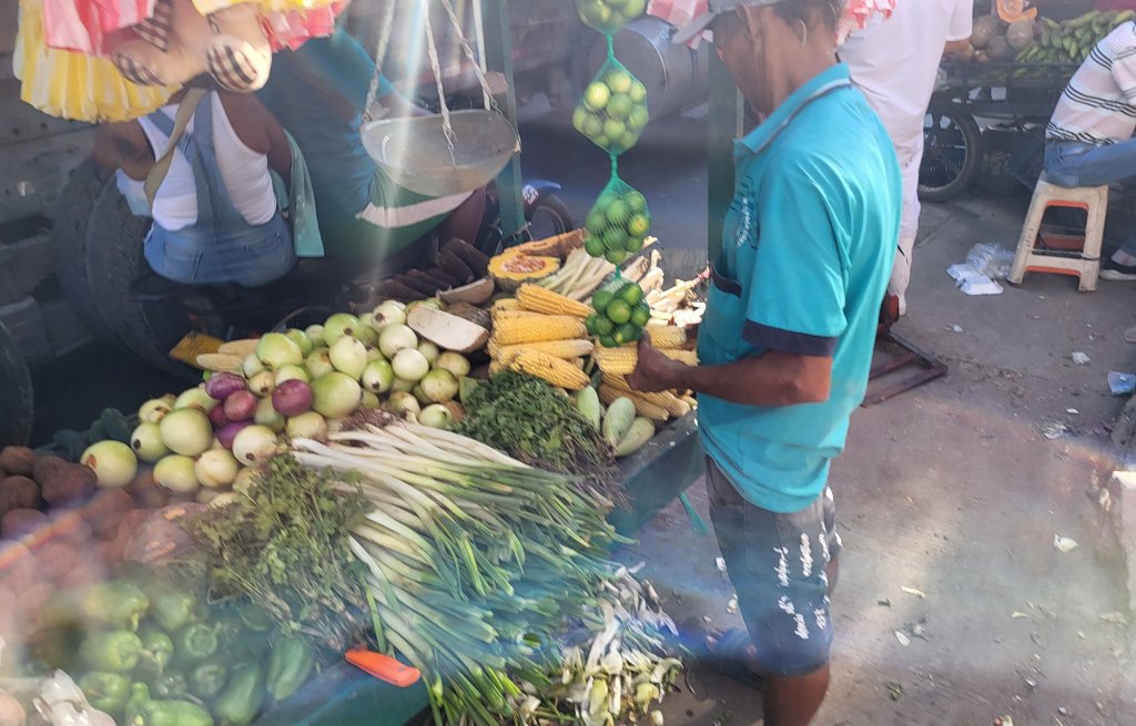 Gemüse und Früchte wohin das Auge reicht. Was für eine schöne Abwechslung gegenüber der West Indies!