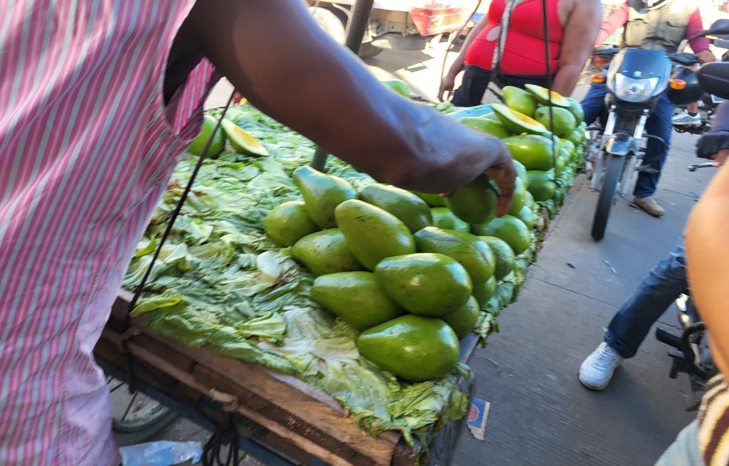 Die schönsten und leckersten Avocados.