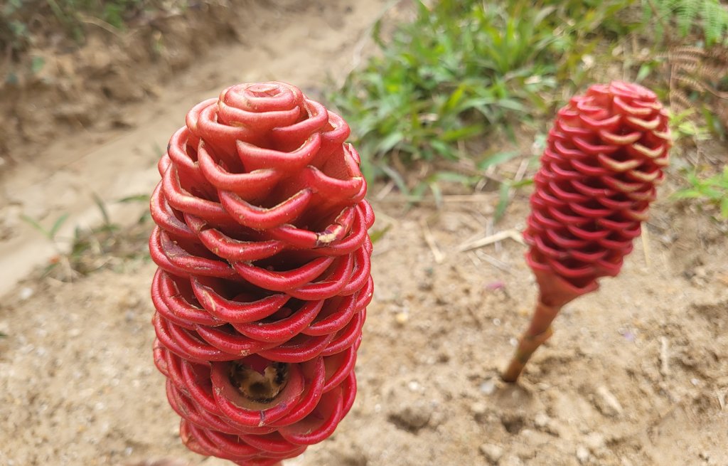 Die wunderschöne Flora und Fauna bringt uns zum Staunen.
