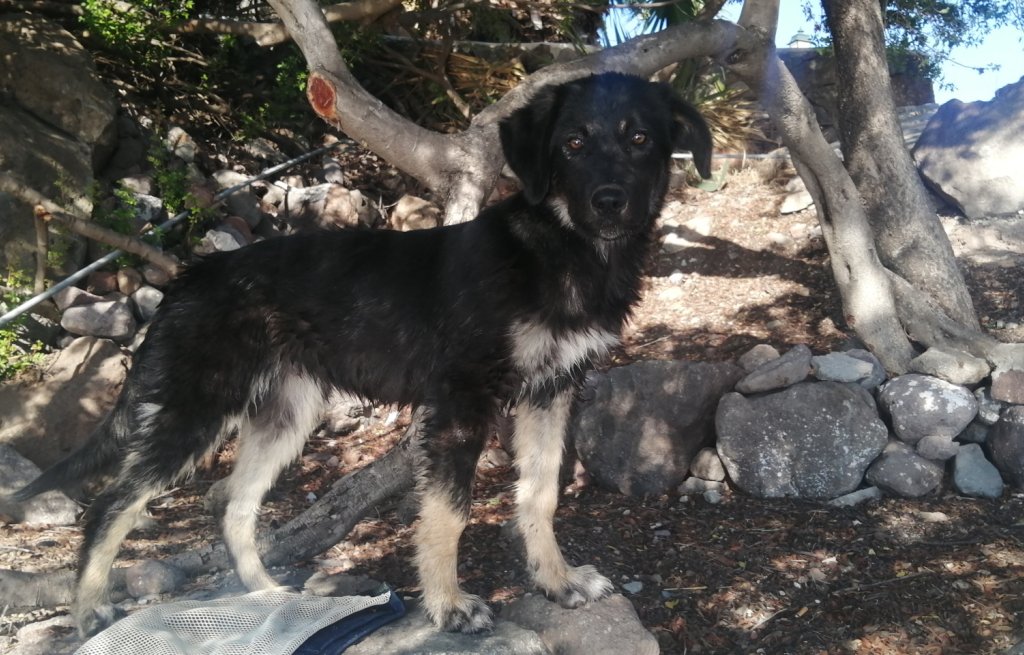 Kostas!
