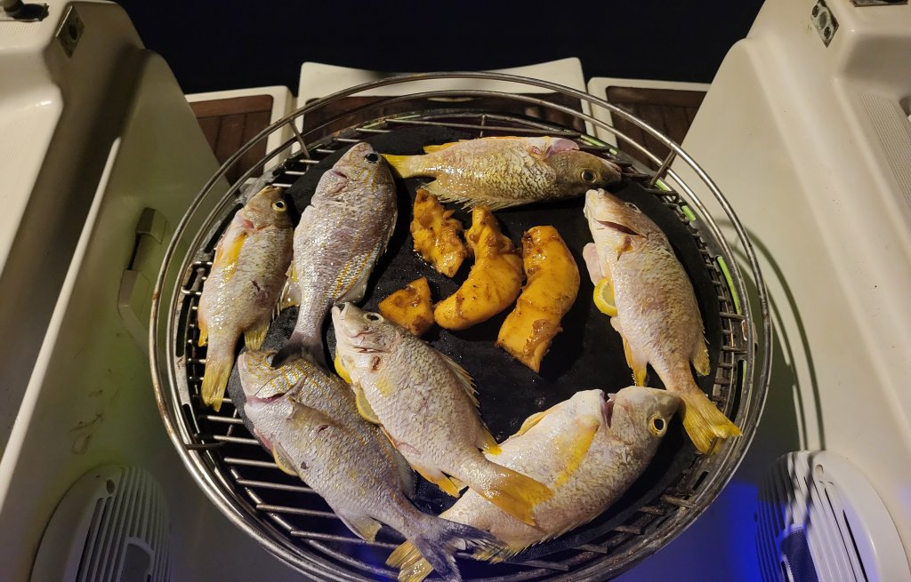 Ein leckerer Grillabend mit Fisch und Conch.