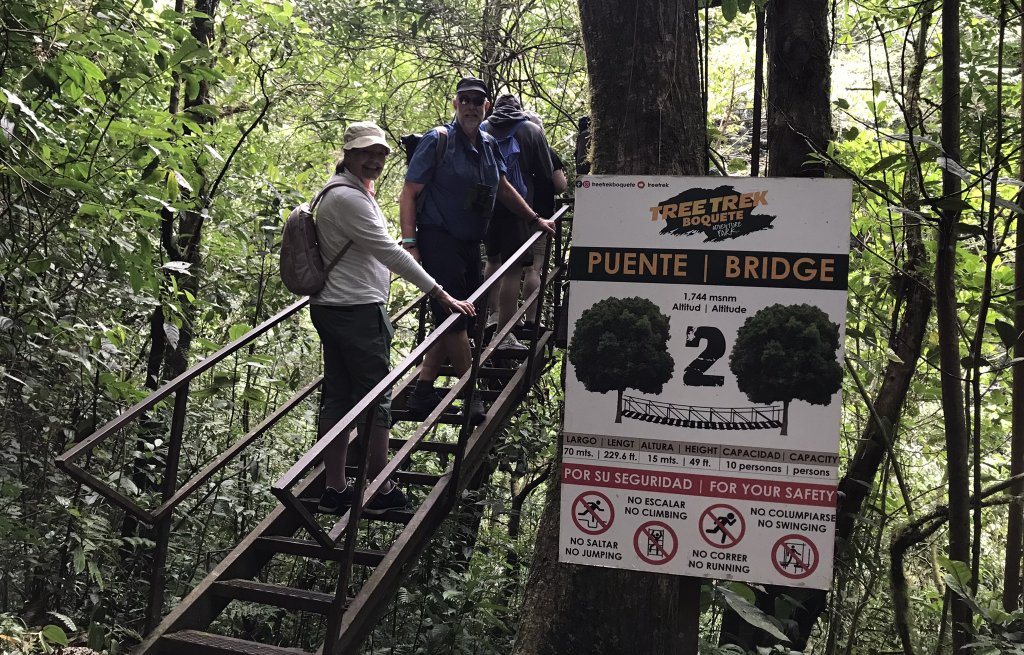 Ein Spaziergang durch den Nebelwald.
