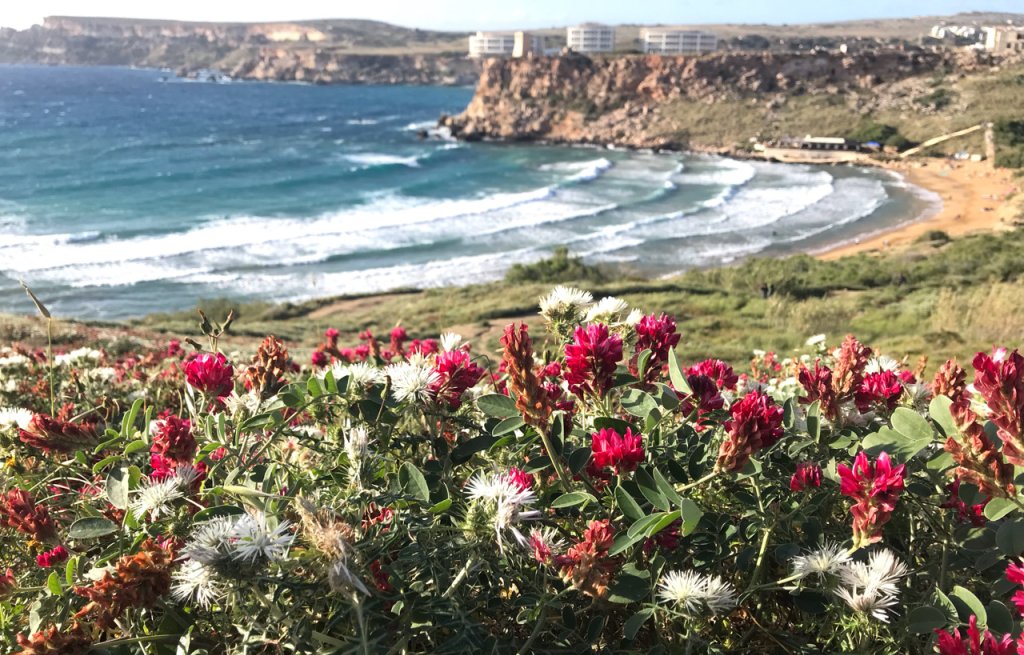 Golden Bay.