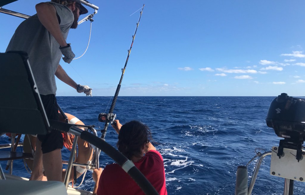 We ceven caught three Bonitos this time!