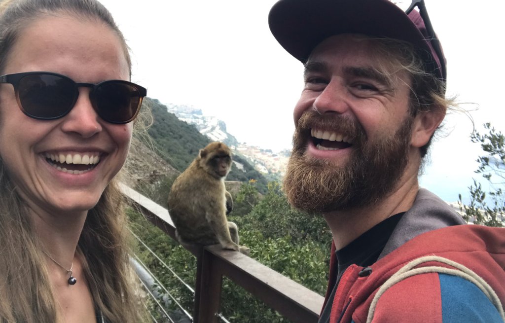 Funny snapshot with a monkey.