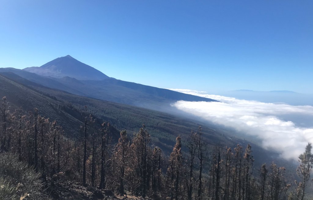 The Teide with a beautiful sea of clouds at its feet.