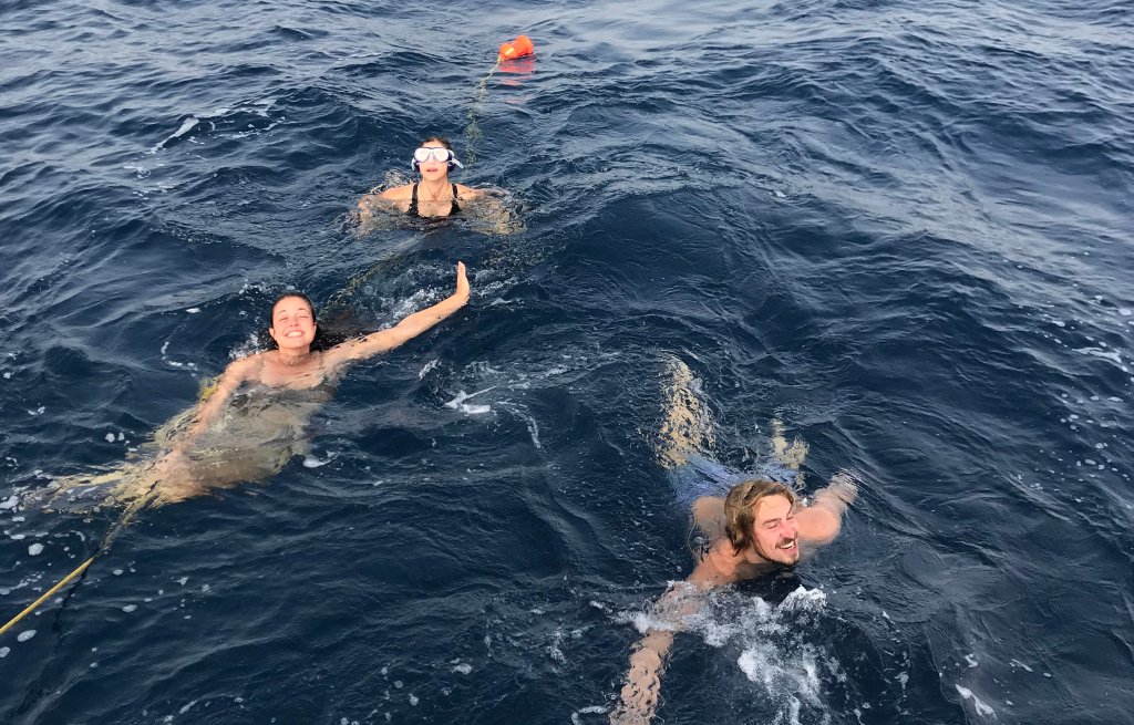 No wind? Let's have a swim!