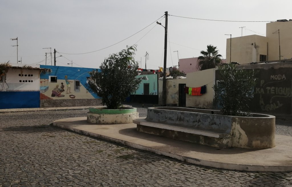 Welcome to Palmeira.
