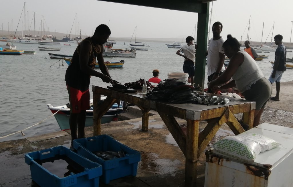 There's always a lot going on at the local fish port.