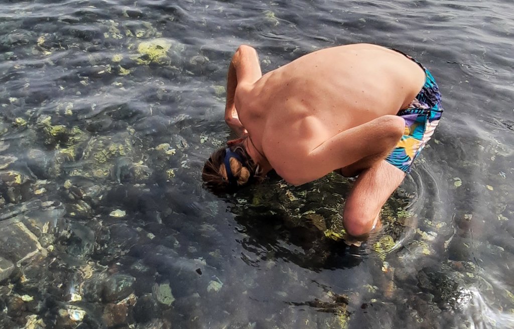 Thierry looking for the baby sharks.