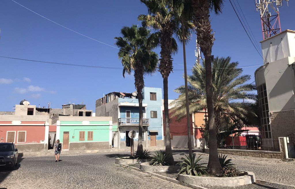 Shopping with Wulfi.