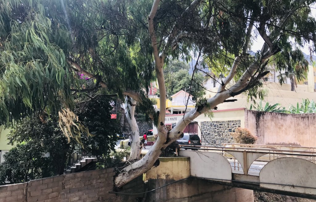 Nature 1 - humanity 0.