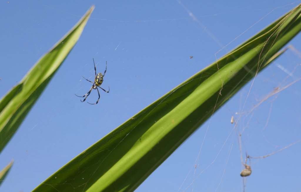 Fascinating but at the same time scary as hell.