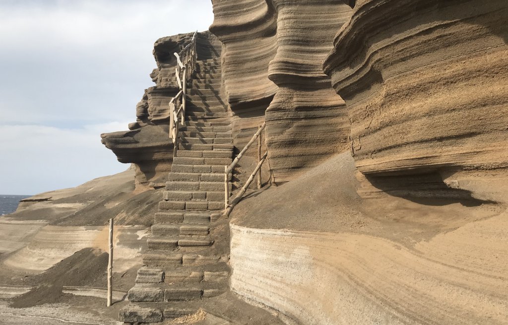 Very unique shapes and colors.