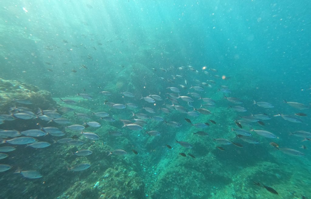 Luckily, the can't be bothered by us.