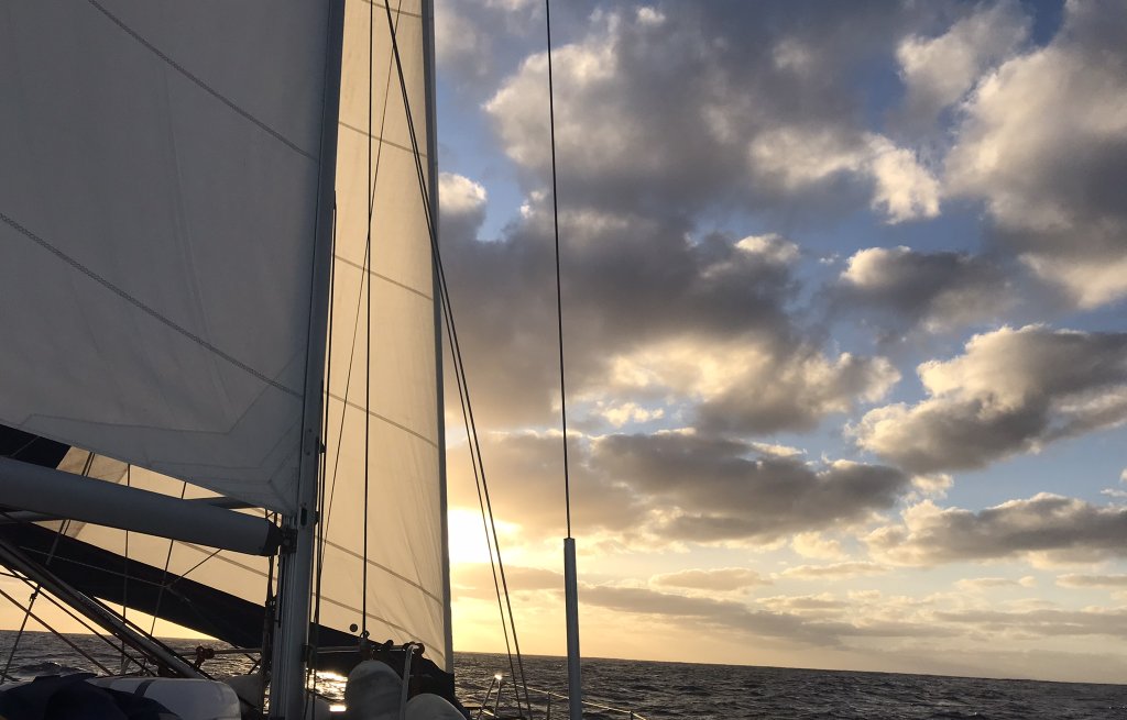 Entering the night under white sails.