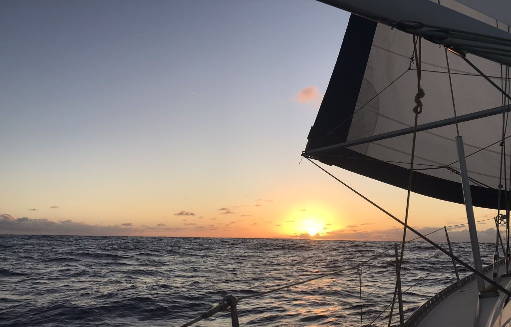 Good night lovely sun!