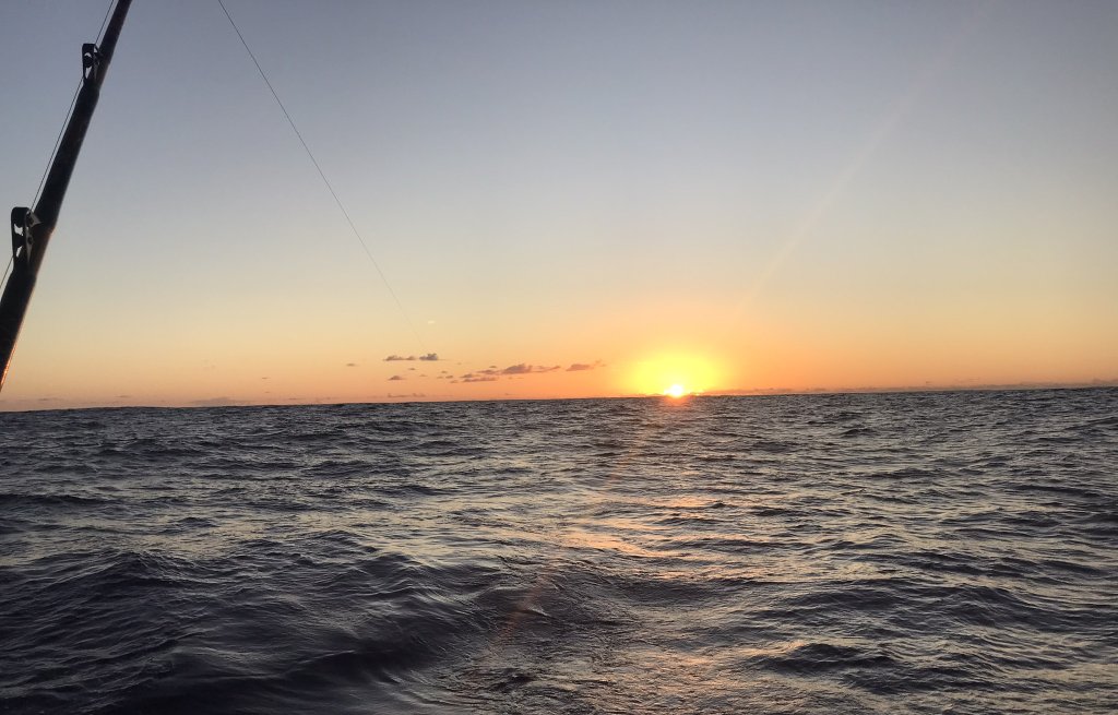 Good morning, it's a new day!