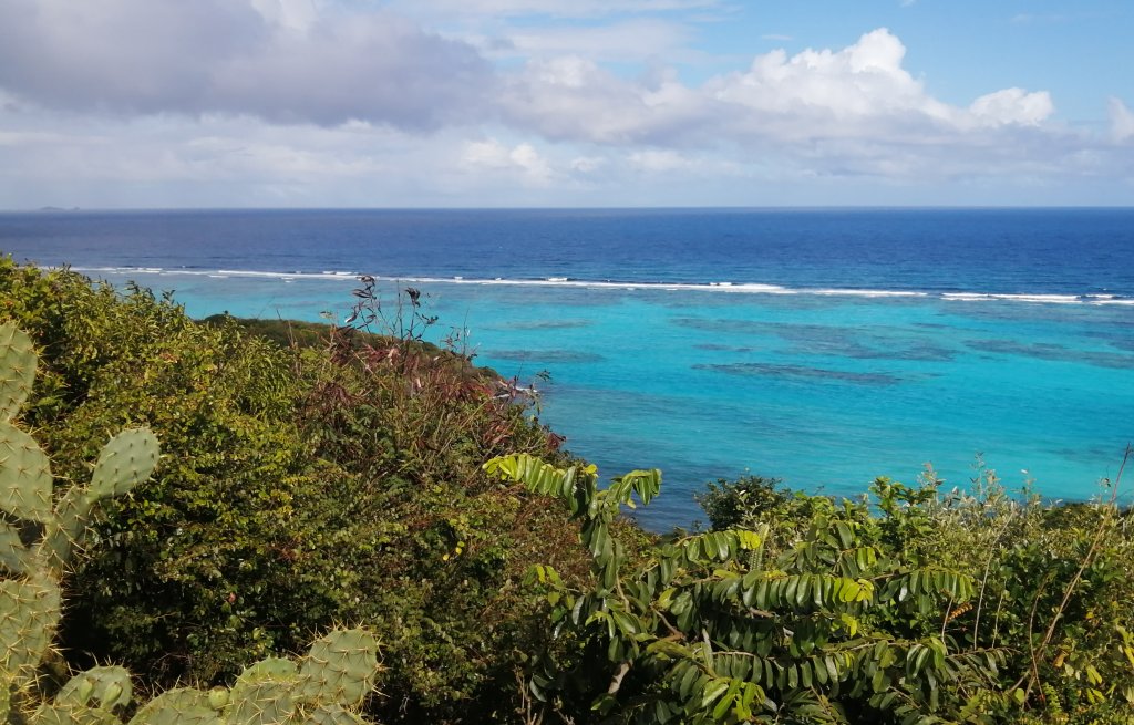 Strolling across the island with a view over the reef.