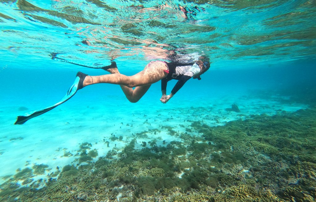 Snorkel adventure.