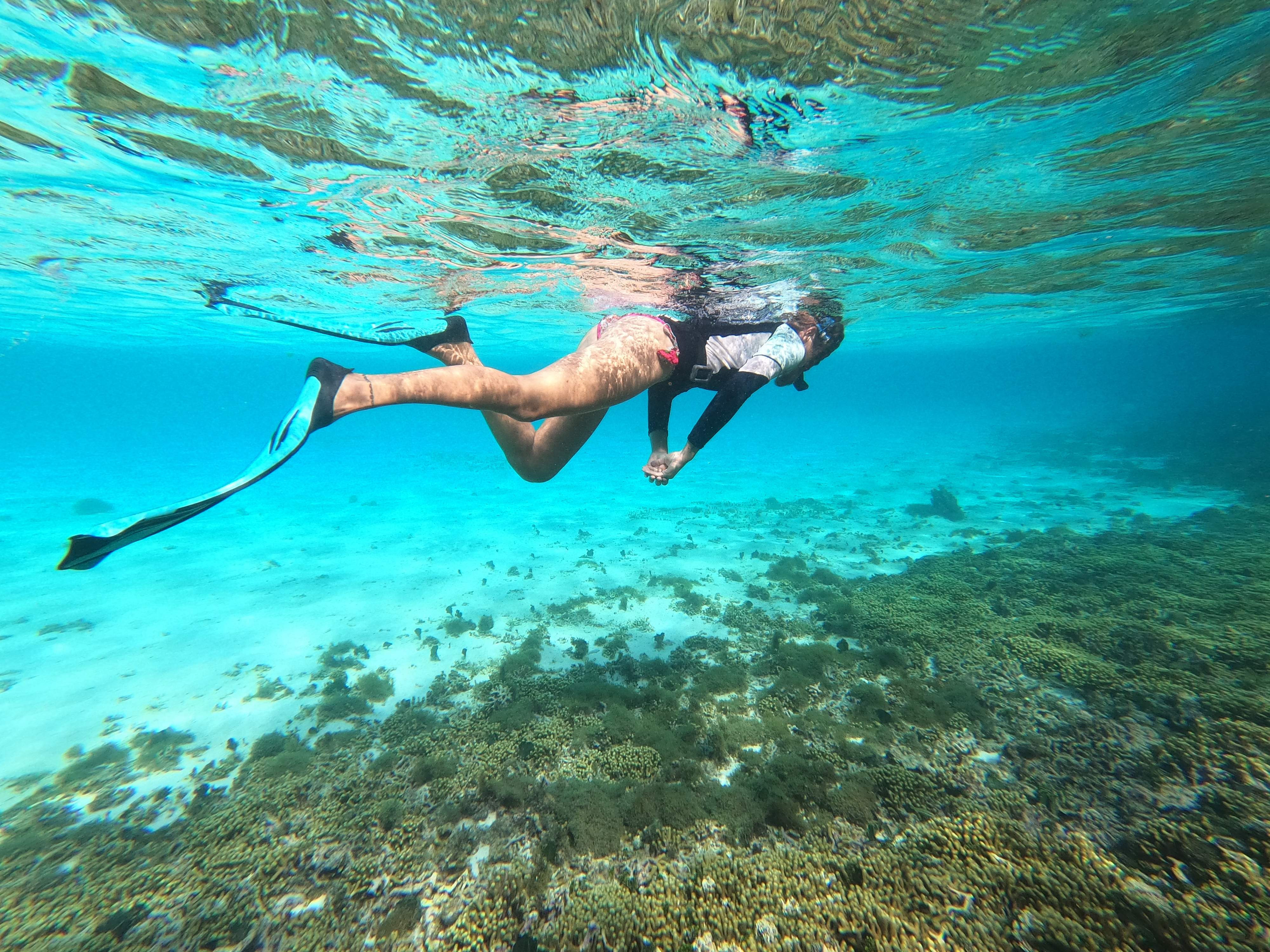 Snorkel adventure.