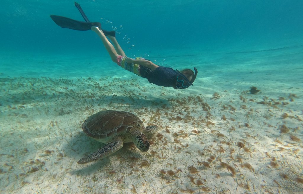 They are not shy at all so we can get super close.