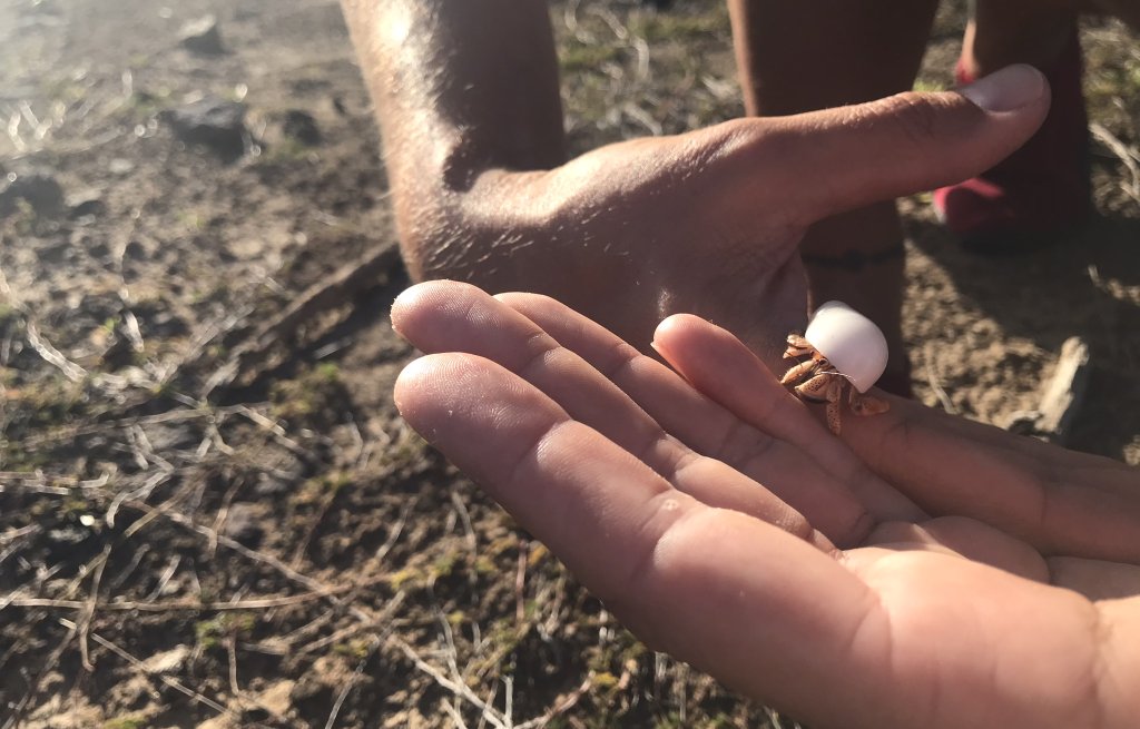 Hey there little fella!