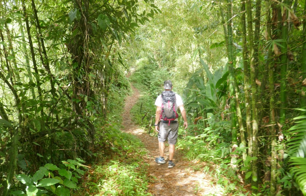 Beginning of the ascent to the volcano.
