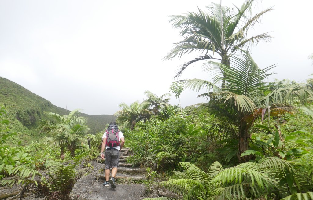 The vegetation is slowly changing.