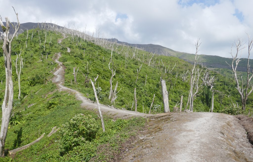 Also on this side the vegetation is changing with altitude.