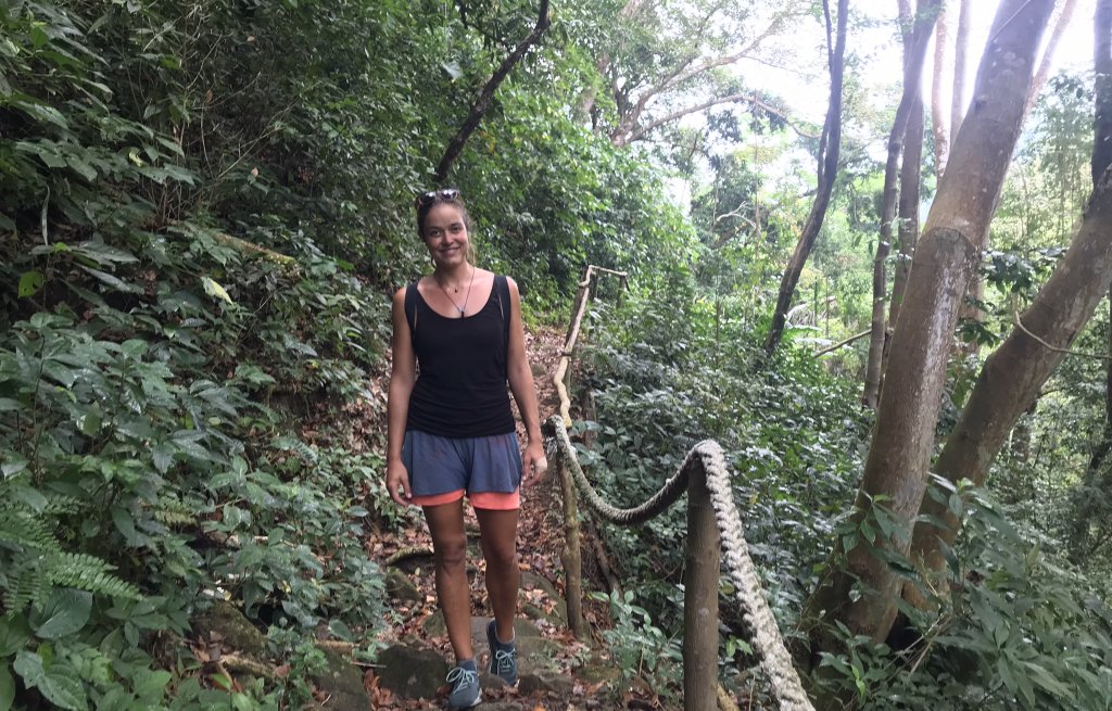 Strolling through the jungle.