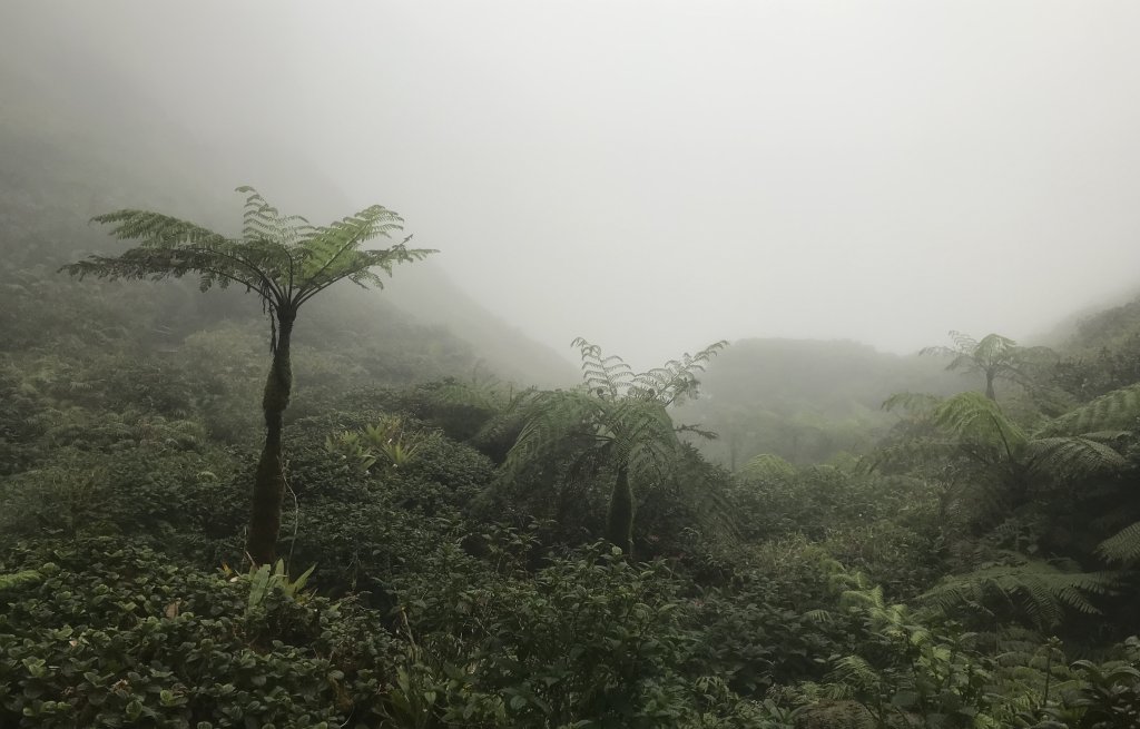 Mystical.