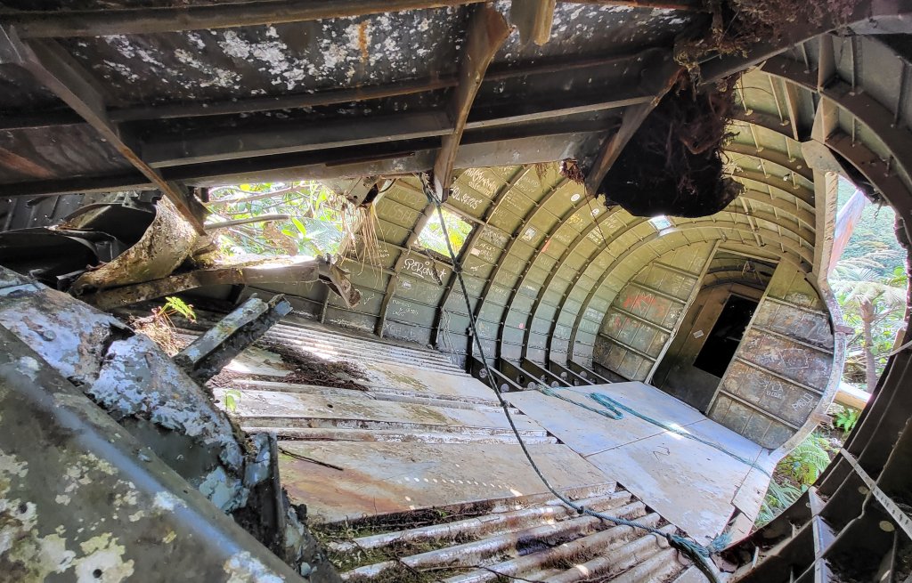 The inside of the plane.
