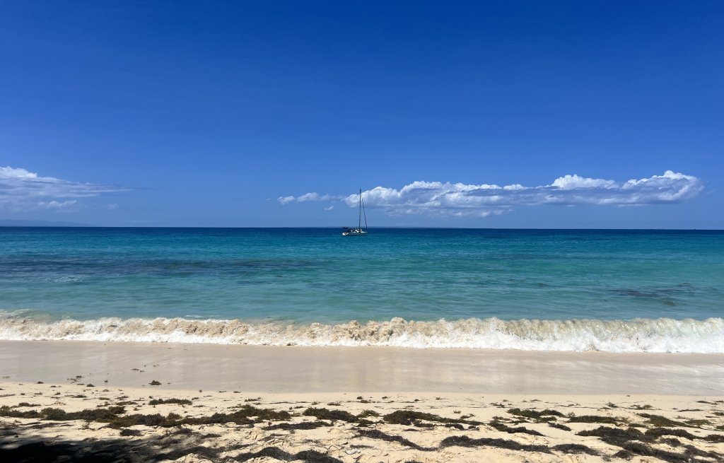 The Caribbean at its finest.