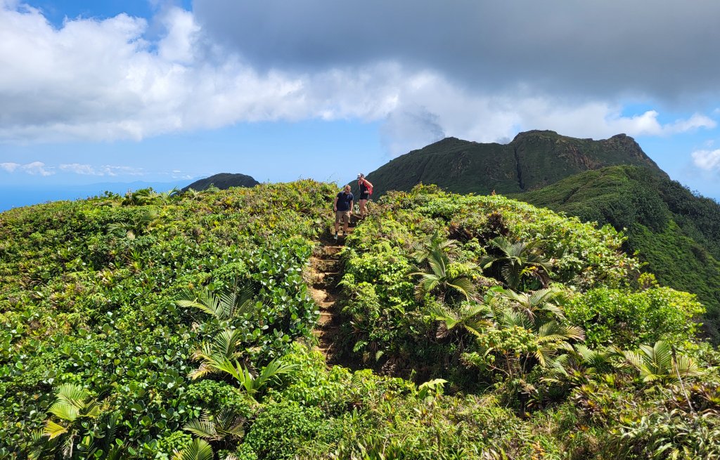 The adventurous path to the